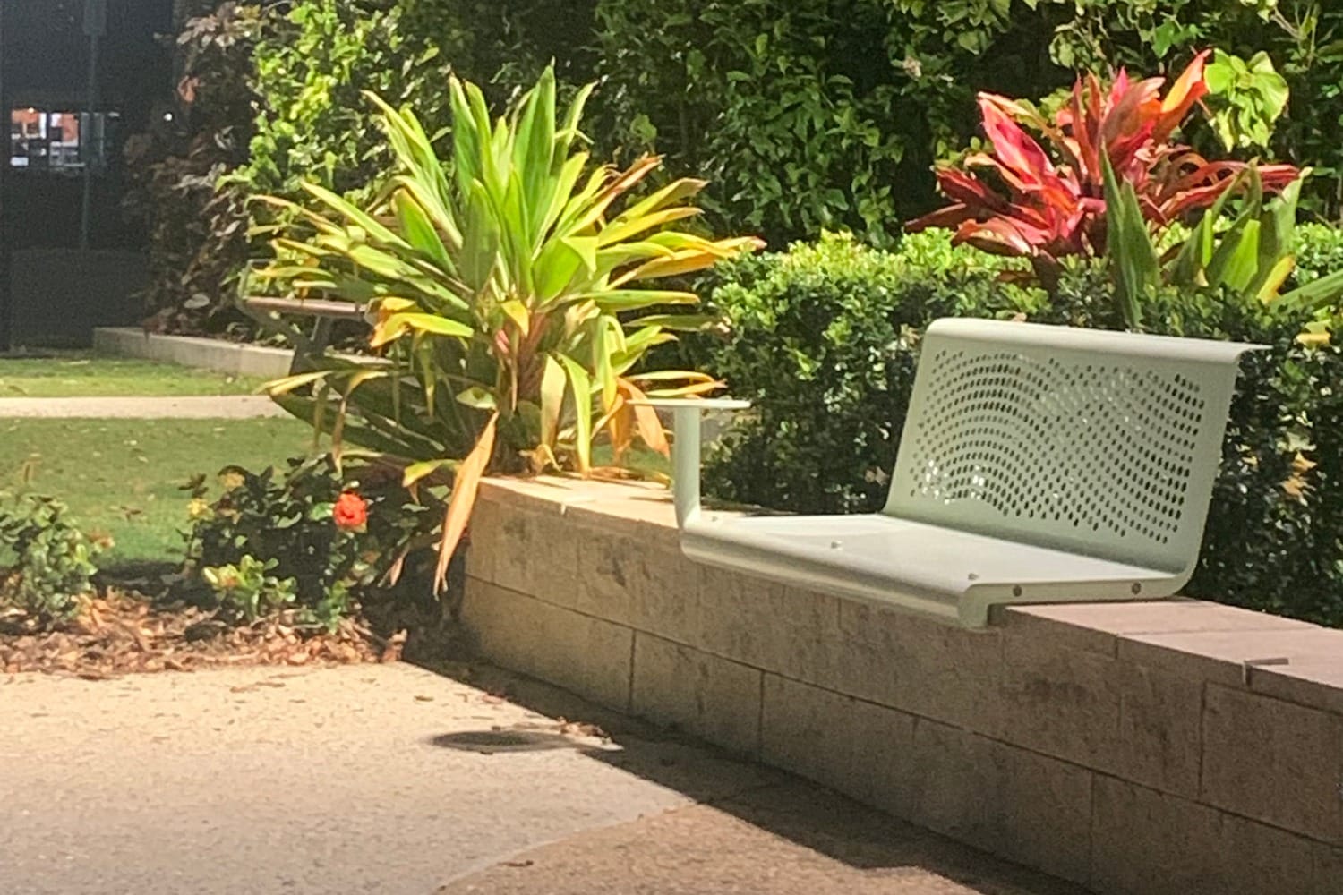 A planted bed of cordylines, bromeliads and clipped shrubs behind a sandstone seat wall, lit up at night.