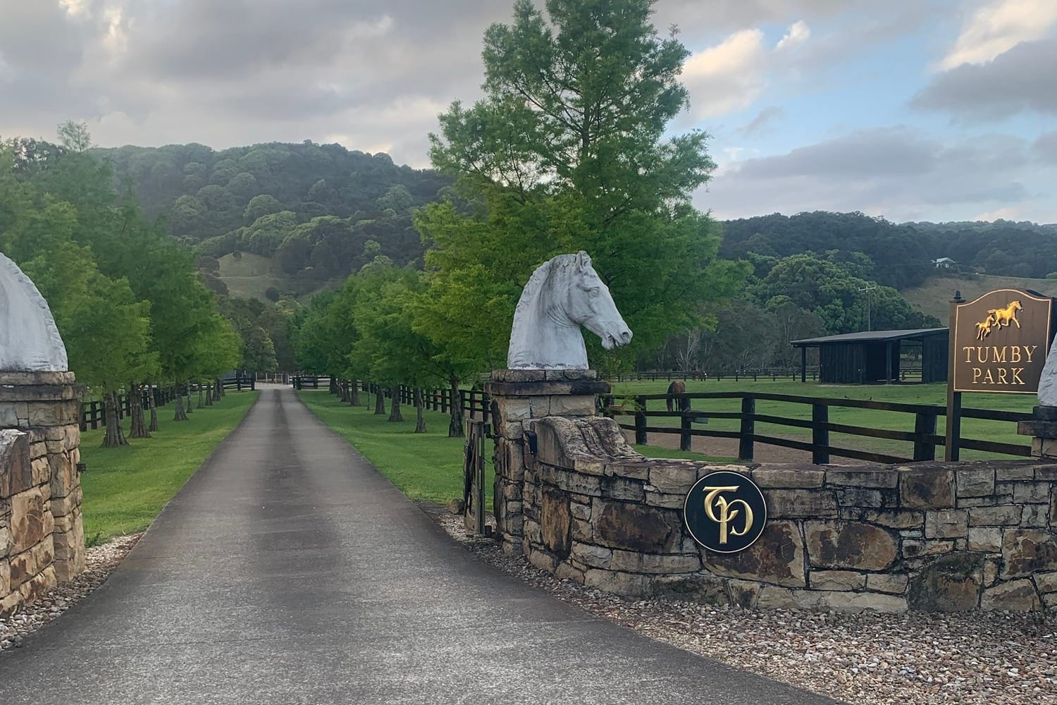 A tree-lined driveway and stone entry wall at a Currumbin Valley horse property, lawns trimmed either side.