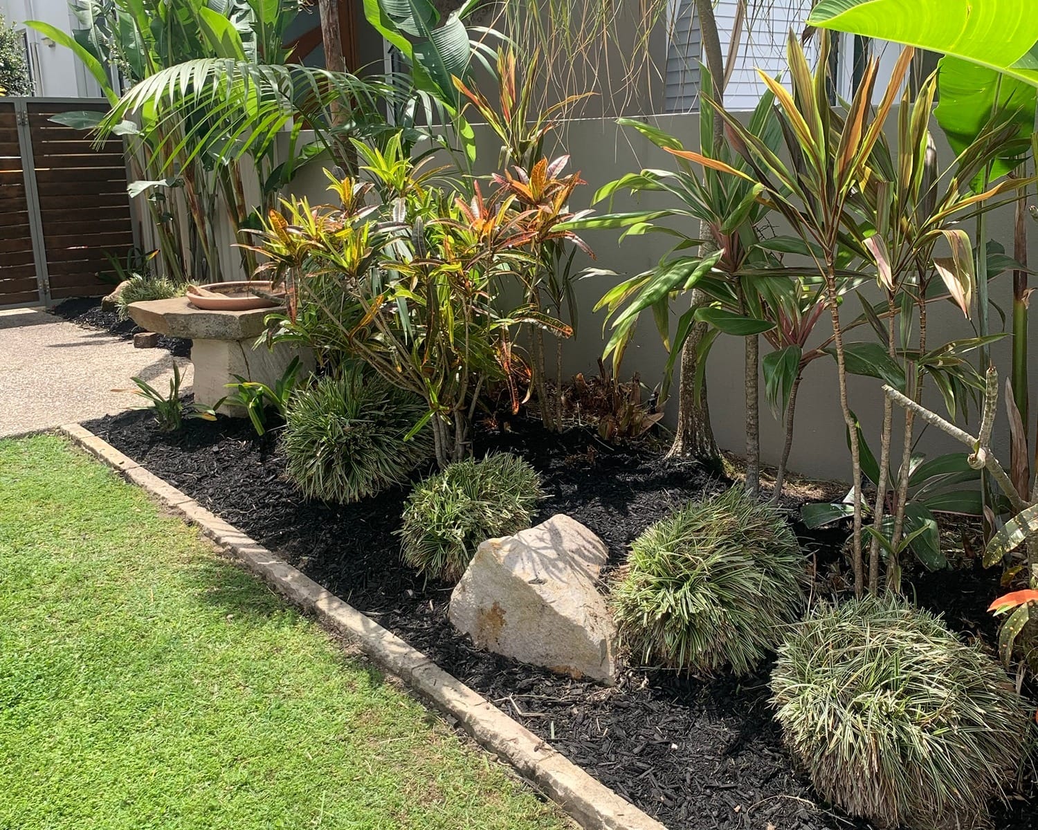 A subtropical Gold Coast garden bed Neil looks after: crotons, cordylines, palms and mondo grass in fresh dark mulch beside the lawn.