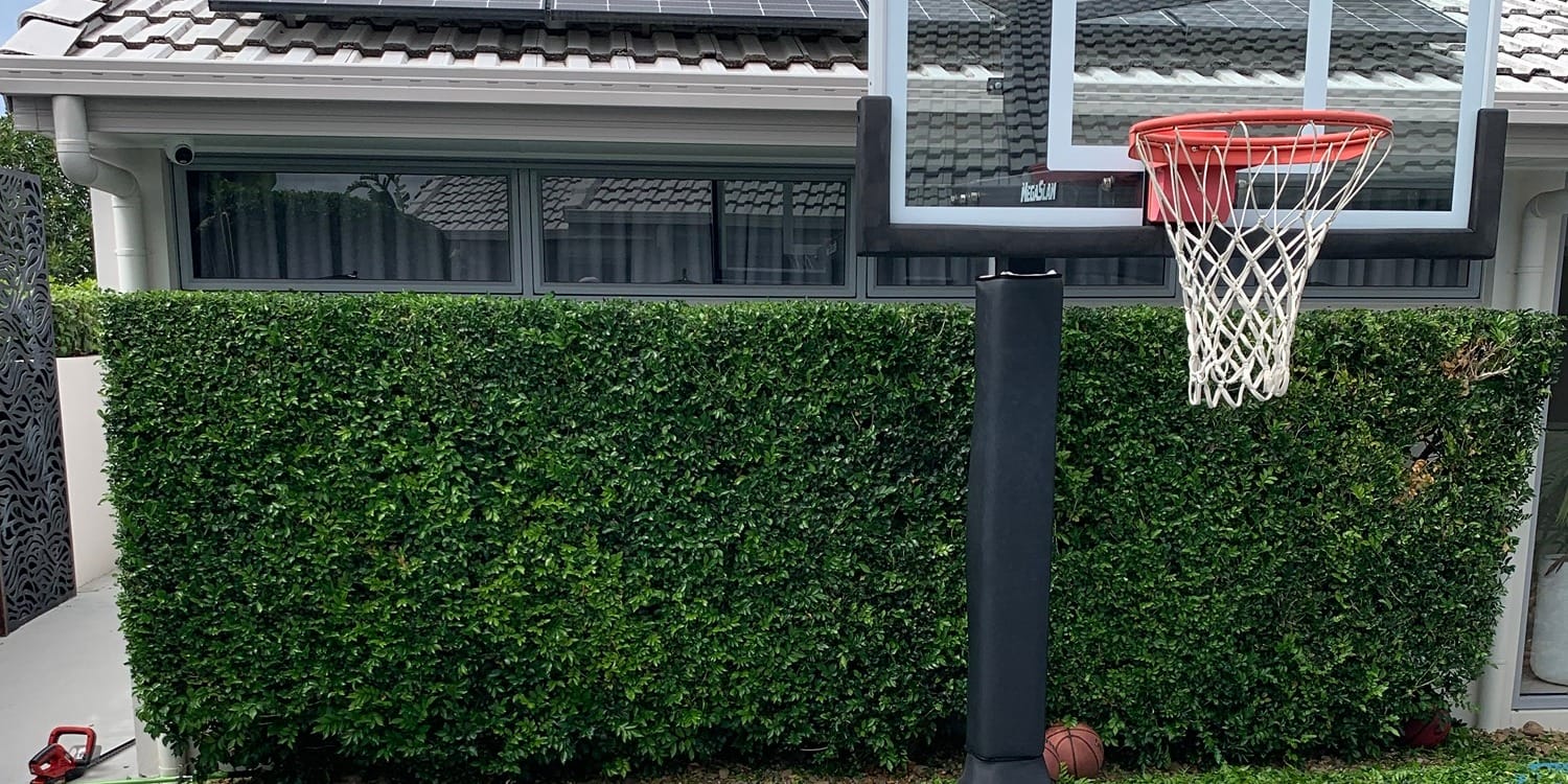 A freshly trimmed hedge behind a backyard basketball court, hedge trimmer resting at the end of the job.